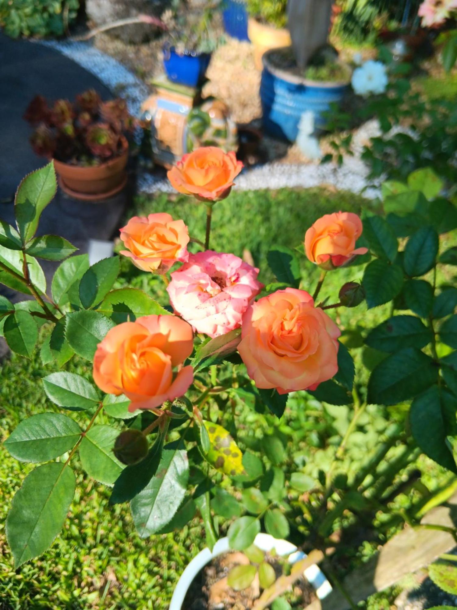 Mapleton Peaceful Provence Bnb 외부 사진